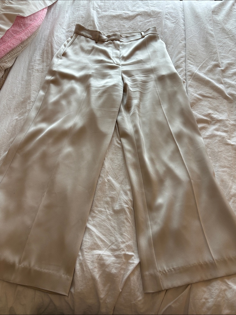 Babaton Wide-Leg Dress Trousers in Cream
